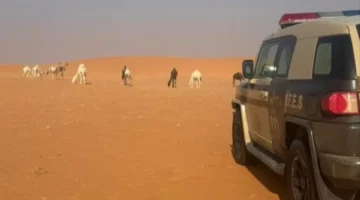 ضبط مخالفة رعي في محمية الإمام عبدالعزيز بن محمد وتفاصيل العقوبة القانونية للمخالف